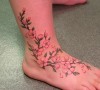 CherryBlossoms.jpg