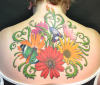 daisies_butterflies_back.JPG